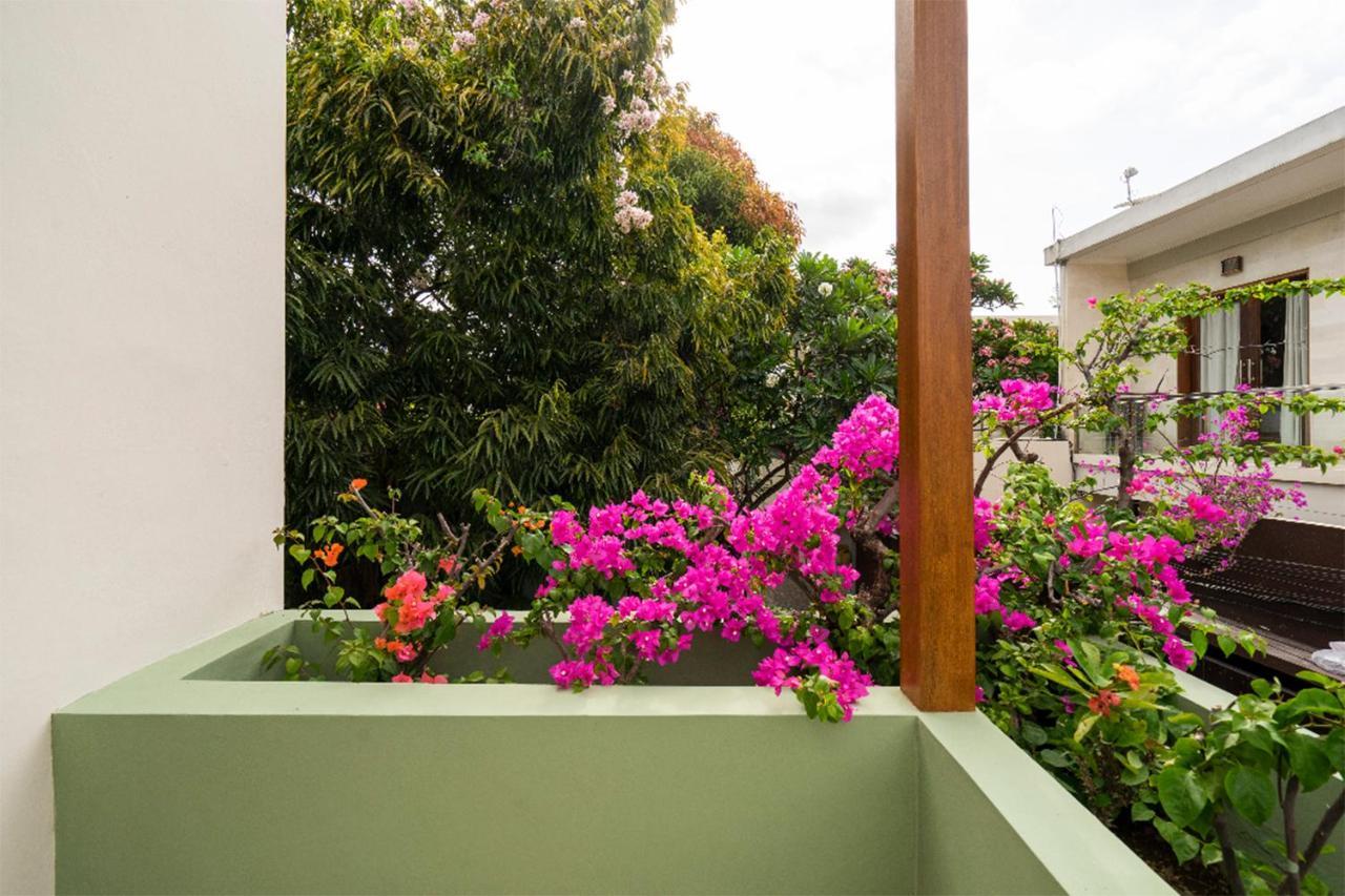 Villa Athena Семиняк Екстериор снимка